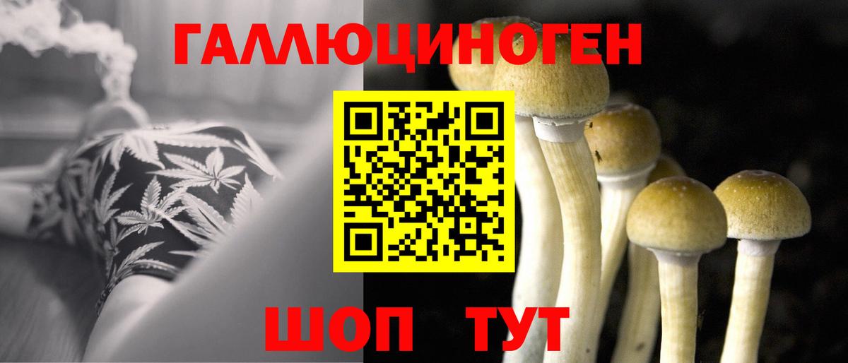 Псилоцибиновые грибы прущие грибы  Вход с VPN  Тула 